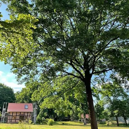 Restaurierter Speicher Auf Resthof Feriehus *